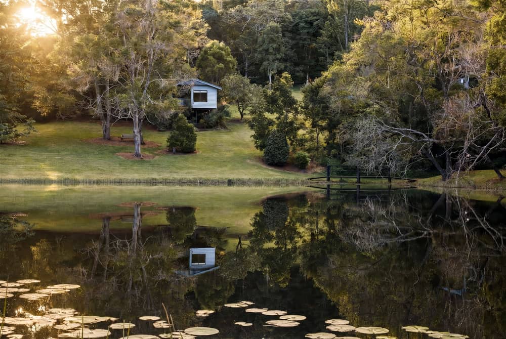 Timber cabin reflected in still water, surrounded by rainforest