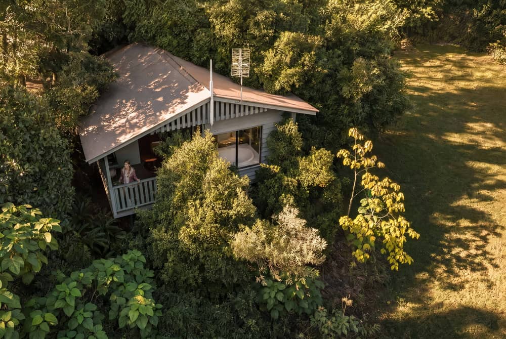Cabin set quietly amongst remnant rainforest