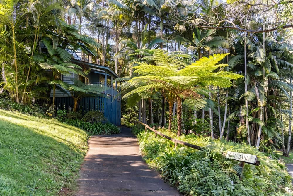 A timber cabin nestled among the rainforest
