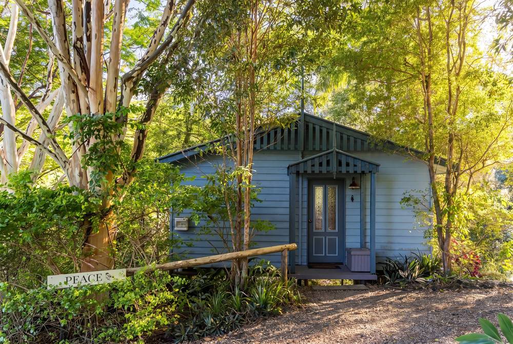 Small timber cabin exterior with covered entrance among tall bushland trees