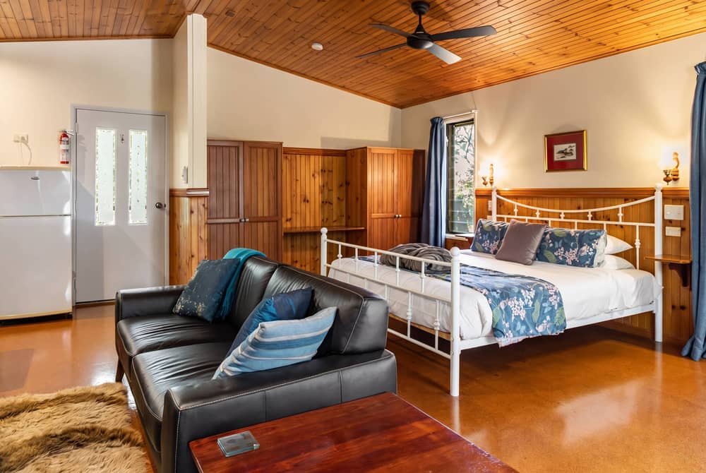 Cabin bedroom with rainforest view