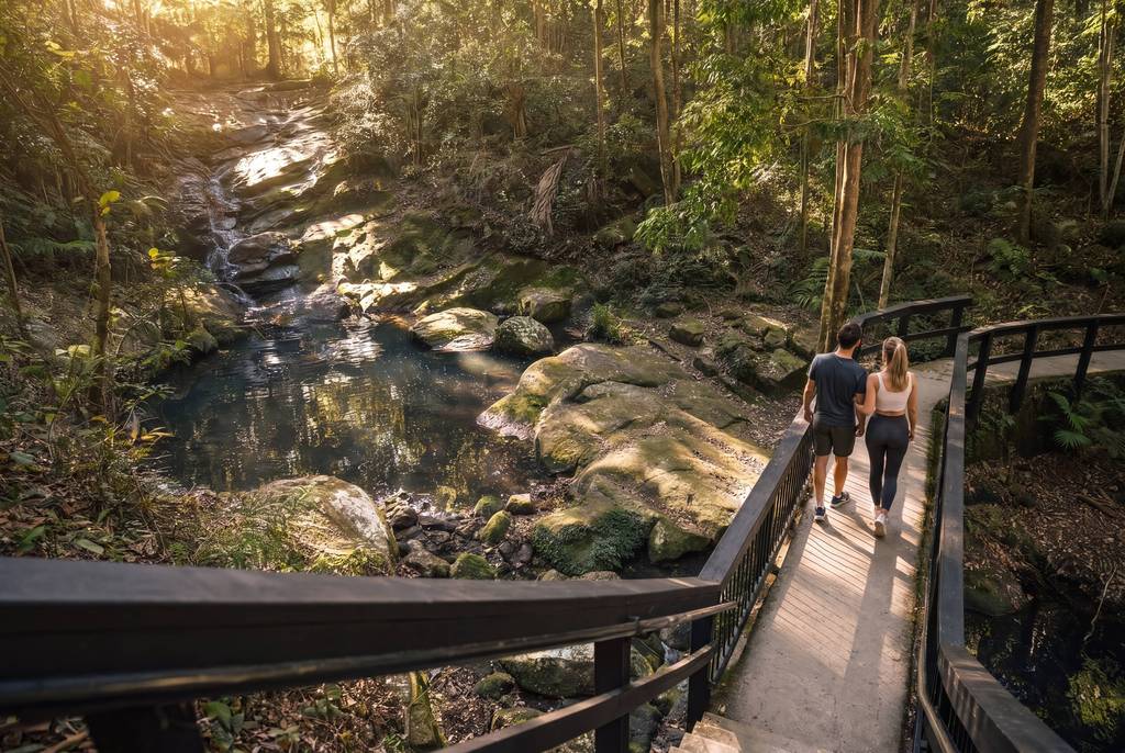 Picnic Creek circuit through rainforest and palms