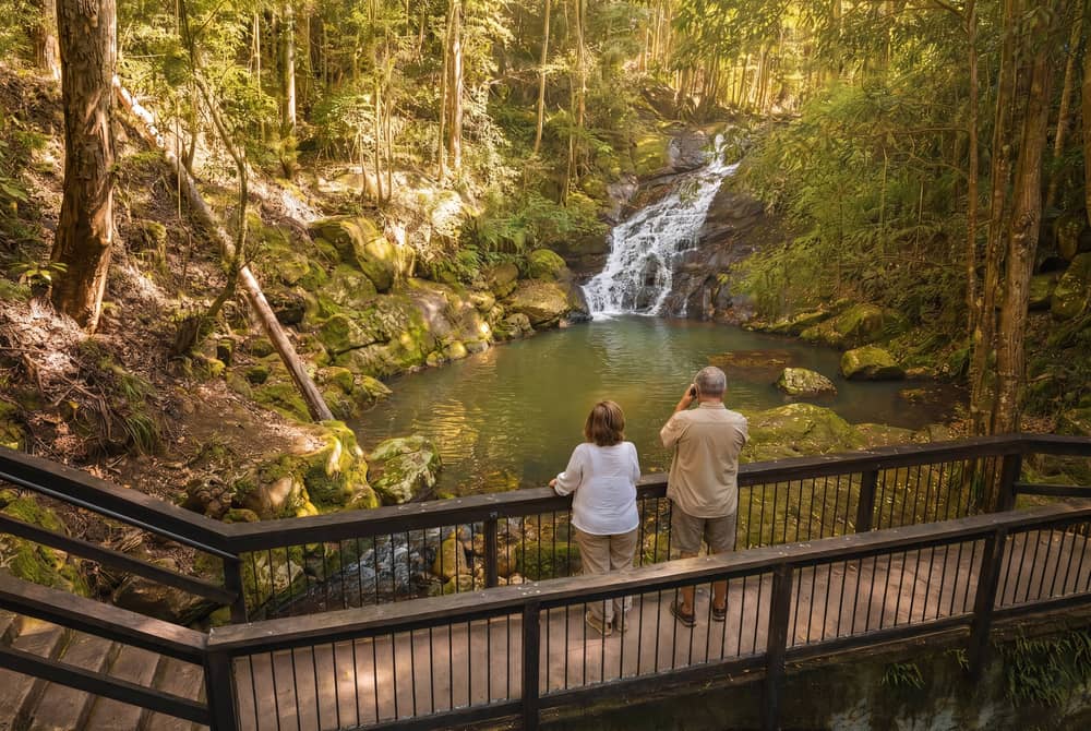 Couple on a wooden deck viewing a waterfall flowing through rainforest