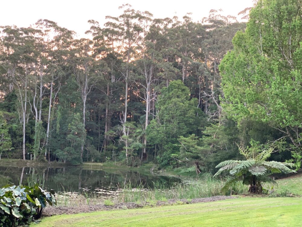 Serene, spring-fed lake at sunset