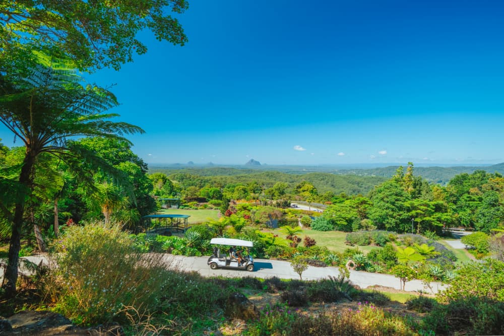 Maleny Botanical Gardens perfect for picnics and day trips